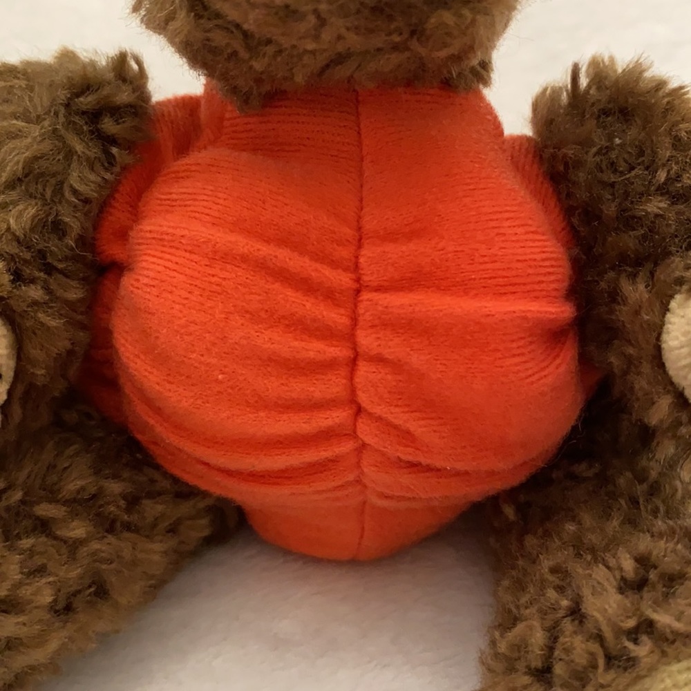{VTG} Ty | 1993 Peter “Trick or Treat!” Pumpkin Halloween Fall Stuffed Bear - Picture 3 of 16